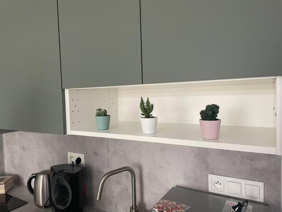 Apartman Na Kopci コシツェ エクステリア 写真